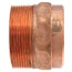 2" Cast Brass DWV Male Street Adapter (FTG x Male)
