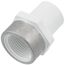 3/4" PVC Schedule 40 Spigot x Spec. Reinforced Female Adapter
