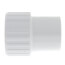 1-1/4" PVC Schedule 40 Spigot x Female Adapter
