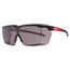 Over The Glasses - Tinted Dual Coat Lenses