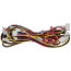 Reversing Valve Harness, 48TMHSRLH-2A00