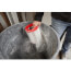 Large Wet/Dry Vacuum HEPA Filter