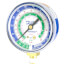 2-1/2" Blue Compound Manifold Gauge, R-12/22/502