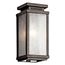 Manningham 10.75" 1 Light Wall Light (Olde Bronze)