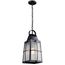 Tolerand 1 Light Pendant (Textured (Black)