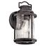 Ashland Bay 11" 1 Light Wall Light (Weathered Zinc)
