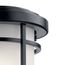 Toman 13.5" 1 Light Outdoor Wall Light w/ Satin Etched Glass (Black)