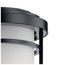 Toman 20" 1 Light Wall Light (Black)