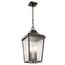 Forestdale 4 Light Pendant (Olde Bronze)