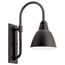 Pellinord 10" 1 Light Wall Light (Black)
