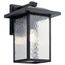 Capanna 16" 1 Light Outdoor Wall Light w/ Clear Water Glass (Textured (Black)