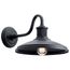Allenbury 12" 1 Light Outdoor Wall Light w/ (Textured (Black)