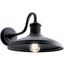 Allenbury 12" 1 Light Outdoor Wall Light w/ (Textured (Black)