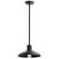Allenbury 12" 1 Light Outdoor Convertible Pendant Light w/ (Textured (Black)