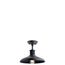 Allenbury 12" 1 Light Outdoor Convertible Pendant Light w/ (Textured (Black)