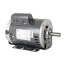 1.5 HP Motor (1725 RPM, 115/230V), 49K81