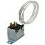 28/48f 277V SPDT Stat w/ Cap, 4ELN7604
