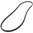 1/2" x 49" FHP Browning V-Belt