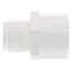 1/2" PVC SCH 40 Male Adapter (MIPT x Slip)