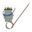 Commercial Electric Thermostat Kit w/ 60" Capillary