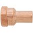 1/2" FTG Press x Female Copper Street Adapter