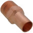 1/2" FTG Press x Male Copper Street Adapter