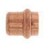 1/2" Press Copper Cap