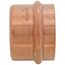 2" Press Copper Cap