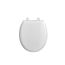 Traditional Slow-Close & Easy Lift-Off Round Front Toilet Seat (White)