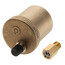 1/8" Male NPT MINICAL Automatic Air Vent w/ Service Check Valve