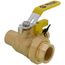 1" Threaded x 1" Sweat Pro-Pal Union Full Port Ball Valve w/ Hose Drain