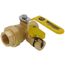 1" Threaded x 1" Sweat Pro-Pal Union Full Port Ball Valve w/ Hose Drain