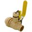 1" Threaded x 1" Sweat Pro-Pal Union Full Port Ball Valve w/ Hose Drain