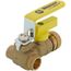 1/2" Sweat PRO-PAL Full Port Ball Valve w/ Drain (Lead Free)