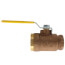 1" FNPT Bronze 2-Piece Full Port Gas Shutoff Ball Valve w/ Tee Handle & 1/8" Dual Tap
