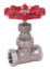 1/2" Stainless Steel Threaded Globe Valve