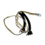 Wiring Harness Assembly (OFM)(PL5/6), 50TG500490