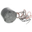 1/3 HP 1075RPM 1-Speed 48 Condenser Motor (208-230V), 51-100998-25