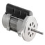 Motor - Oil Burner, 51-25061-01