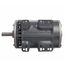Blower Motor - 2 hp 575/3/60 (1725 rpm/1 speed), 51-42536-02