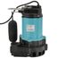 10ECH-CIA-SFS 1/2 HP, 60 GPM, 115V - Automatic Sump Effluent Pump with Float Switch, 30ft cord