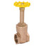 1" Threaded Gate Valve with Rising Stem (Lead Free)