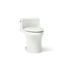 San Souci One-Piece Compact Elongated Toilet w/ Concealed Trapway, 1.28 Gpf (Dune), K-5172-NY