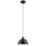 Zailey 9" 1 Light Pendant (Black)