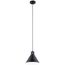 Zailey 9.5" 1 Light Pendant (Black)