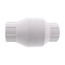 1-1/2" PVC In-Line Check Valve w/ SS Spring (Threaded), 523T07