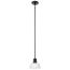 Eastmont 1 Light Mini Pendant w/ Clear Glass (Black)