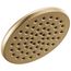 1-Setting Raincan Round Shower Head (Champagne Bronze), 52433-CZ