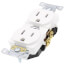 Industrial Specification Grade, Smooth Face Duplex Receptacle, 20A, 125V (White)