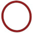 O-Ring for Steam Canister